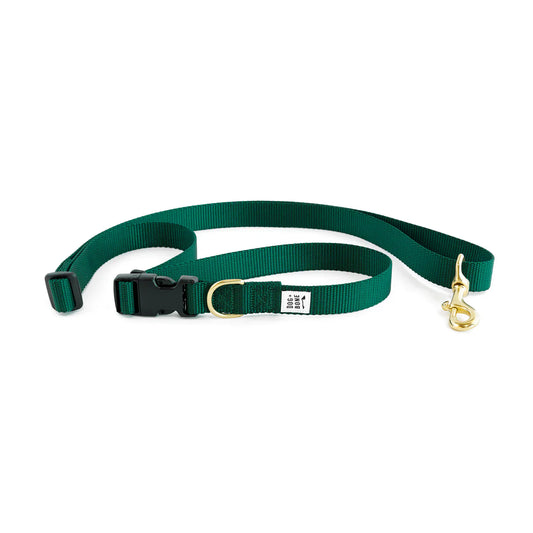 Dog+Bone Adjustable Leash 3-6ft, Hand Held/ Hands Free, Forest Green